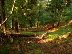 2013-07-13_Regina-F-Rau_Sonnenspitze3 (199).JPG